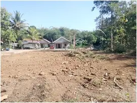 Jalan kavling lebar dan view hijau – tanah dijual Jogja lokasi Mororejo