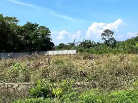 Tanah Kavling Murah Cisauk SHM – Bebas Banjir, Harga dibawah 2jtan