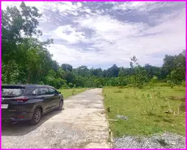 Panjatan, Tanah Jogja  Dekat Bandara YIA Untuk Hunian
