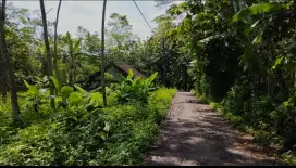 Jual Tanah kebun siap bangun