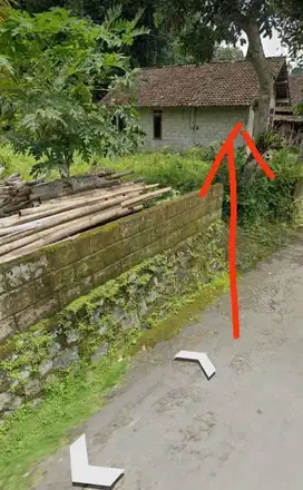 MURAH SEKALI TANAH HOOK BONUS RUMAH AKSES MOBIL PAPASAN DI TURI SLEMAN. JK10443