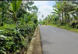 Dijual tanah kosong Jln raya Baturaden Timur dekat curug CehengSumbang