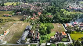Sewa Tanah MURAH Luas 24 Are View Sawah Link Villa di Pejeng