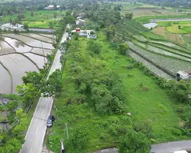 Tanah   Terbaik Magku Jalan Aspal Mungkid Magelang, Sertipikat SHM