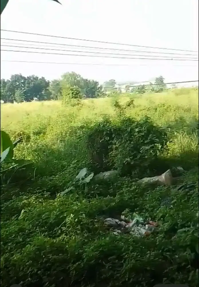 Jual 2 Tanah Strategis 1,8 Ha dan 2,6 Ha di Cileungsi untuk industri