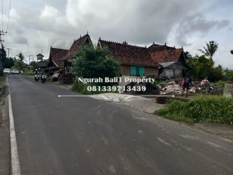 Disewa Tanah Super  Luas 2200 m2 di Katik Lantang Ubud