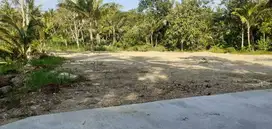 Kawasan Pekerja Tanah Dekat Exit Tol Sentolo Cocok Bangun Kos