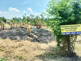 Disewakan lahan kosong strategis
