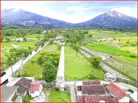 Sawangan Magelang, Tanah Pinggir Jalan Blabak-Mungkid, Legalitas Aman