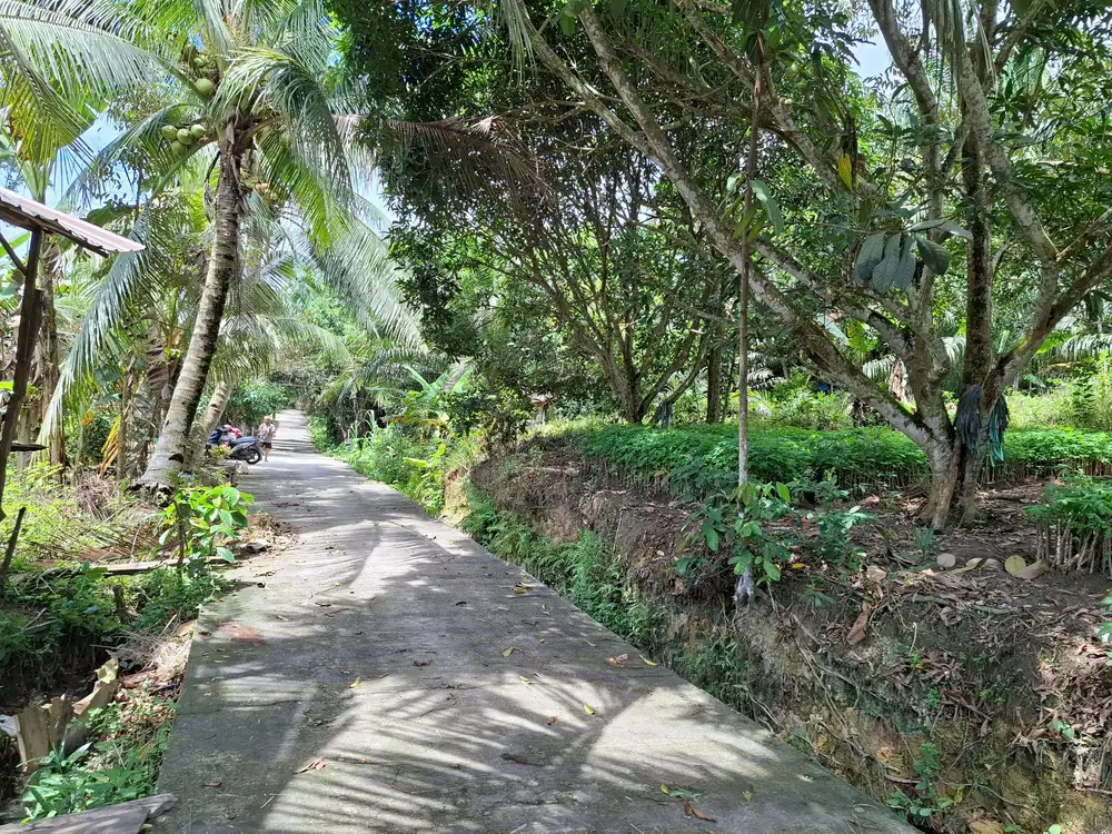 Tanah murah daerah kulim14x20m, siap Bangun, 100m dari jalan Lintas