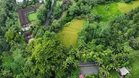 Dijual Tanah 41 are Murah di Tampak Siring Bali