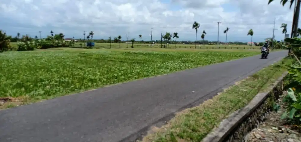 Tanah pantai mengening cemagi