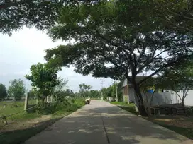 Dijual Tanah Kavling Bogor Murah, Dekat RSUD Cileungsi, Bisa Cicil 12X