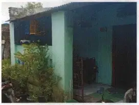 KELURAHAN MOJOSARI REJO, DRIYOREJO GRESIK