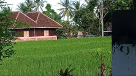 Dijual nego lahan non pertanian L 3100 m2 shm harga 1.4 jt/meter