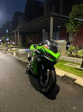 Ninja 250 kawasaki racing team (rare livery)