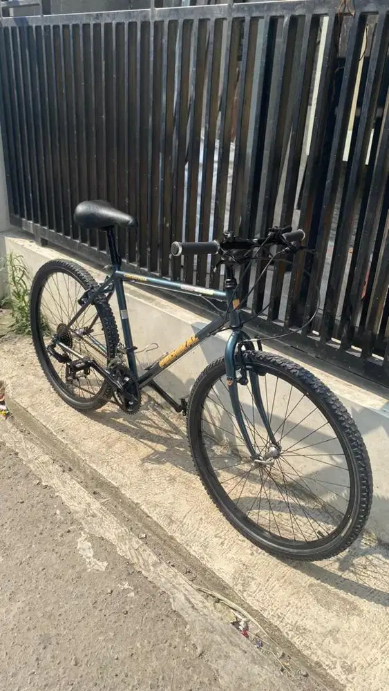 SEPEDA FEDERAL CARTENZ PEAK (COMMUTER BIKE)