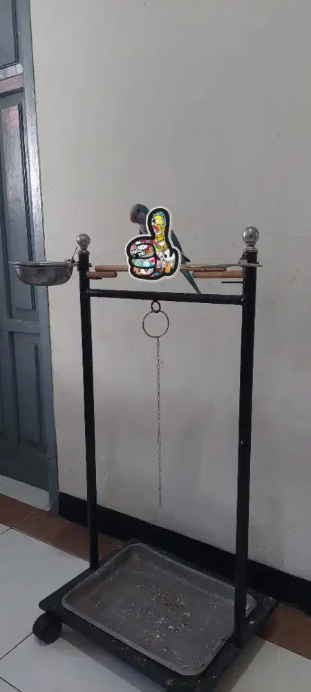 Tangkringan burung