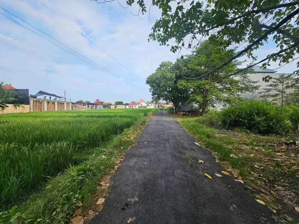Tanah Bumbak Umalas Kerobokan Badung