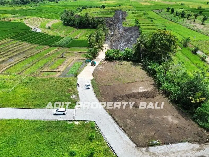 Tanah kavling View Sawah Pantai Kedungu Tabanan