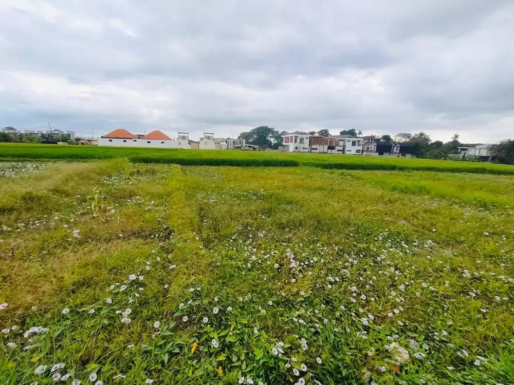 Tanah Pantai Seseh Mengwi Badung