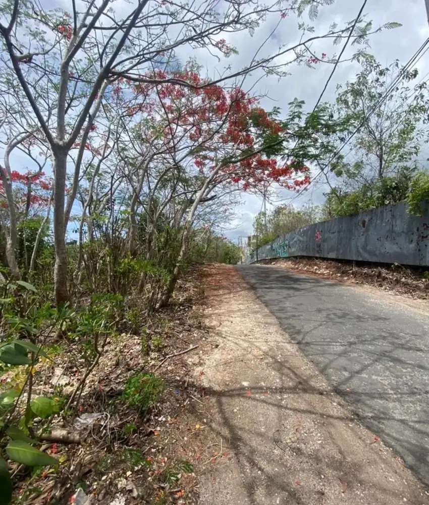 Tanah karang putih kutuh kuta selatan badung