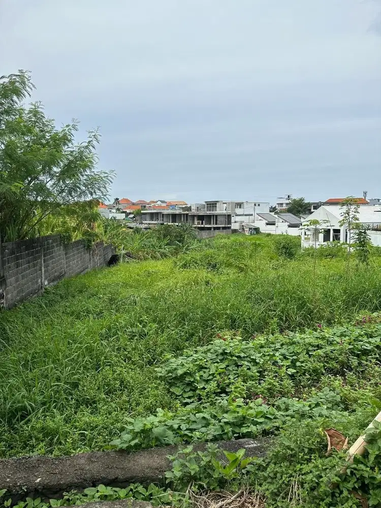 Tanah Padonan Canggu Badung