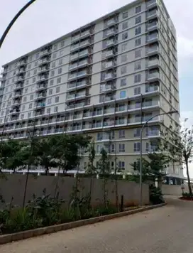 Apartemen Paradise Mansion Tower 2 (Studio)