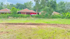 cocok untuk Investasi/hunian Kavling area Cibarusah bisa Cicil 12X