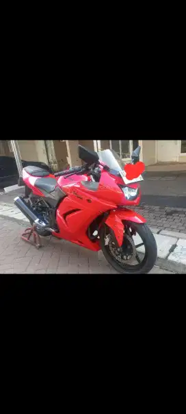 KAWASAKI NINJA 250 KARBU
