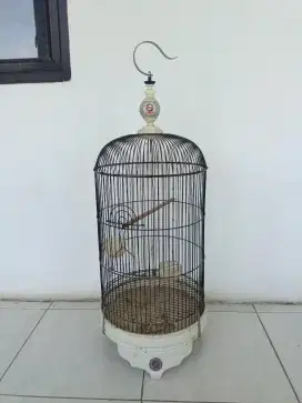 Jual kandang burung ebod cakep