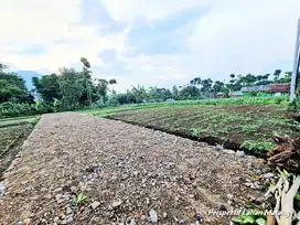 Kavling Murah, 5 Menit Exit Tol Sentul, SHM Terjamin