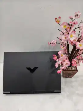 HP Victus 16 AMD AMD Ryzen 7 8845HS 16GB SSD 1TB RTX4060