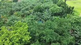 Dijual Tanah Industri di Pasir Jaya, Tangerang - Banten