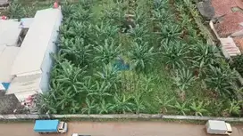 Dijual Tanah Strategis di Dangdang, Cisauk - Tangerang