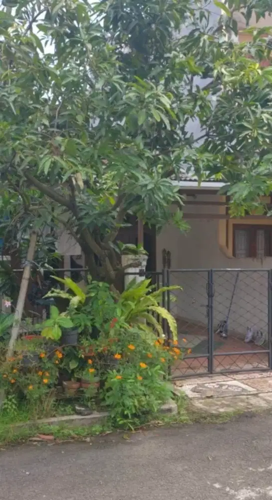 dijual rumah murah di bsd griya loka, serpong, tangerang selatan