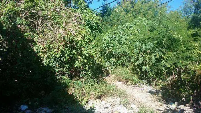 Dijual Tanah Kosong di Desa Tonja, Denpasar, Bali