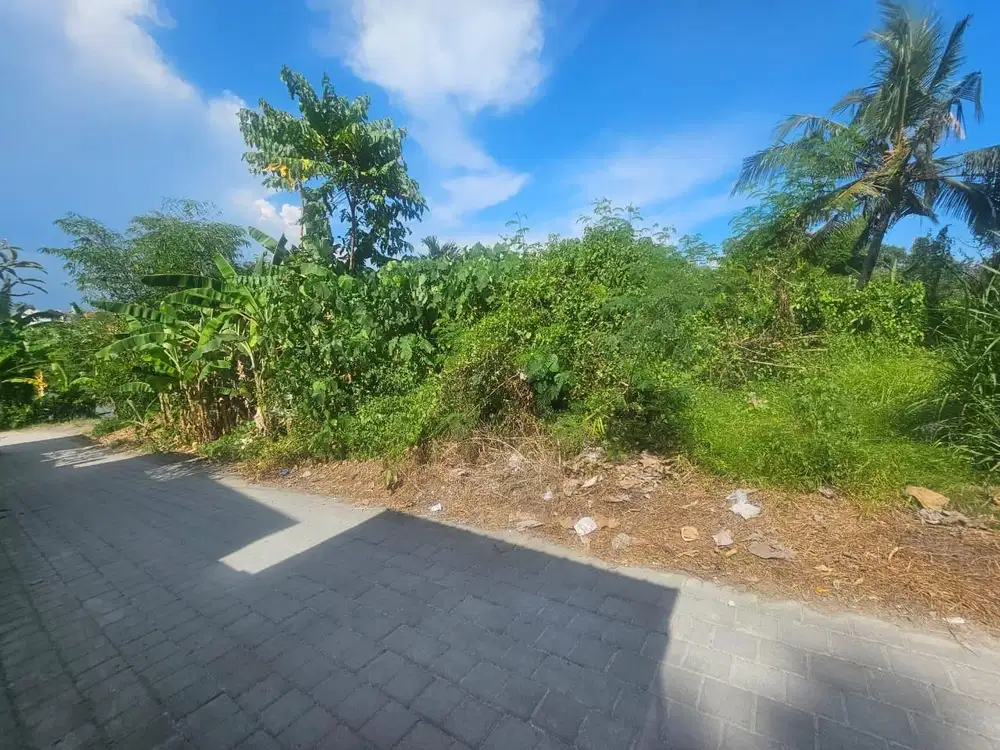 Tanah Premium Munggu Cepaka Kediri tabanan