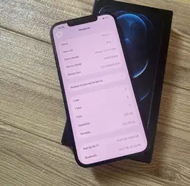 iPhone 12 Pro Max 256GB Garansi Resmi iBox Pasific Blue Battery 100%