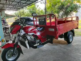Viar 200cc 2024 long seperti baru