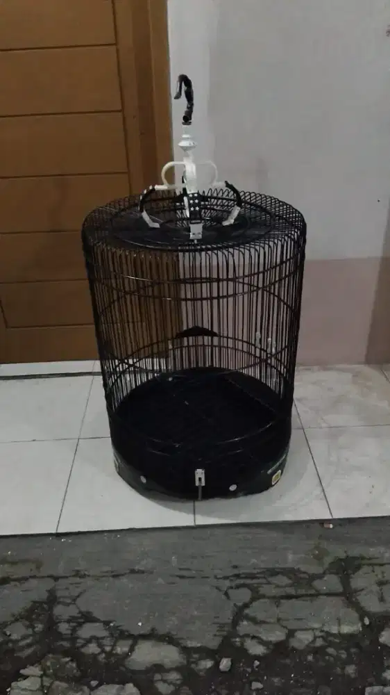 Kandang MB pria nomor 2