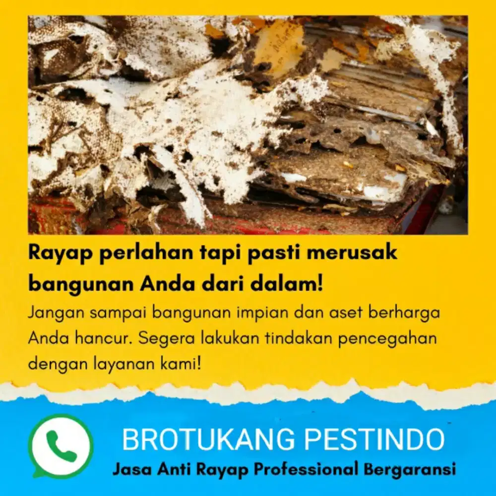 Jasa anti rayap Semarang Jawa tengah