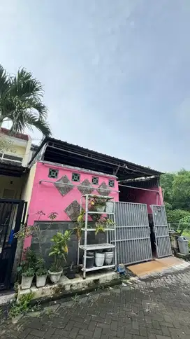 Dijual Rumah Daerah dieng malang