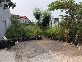 ‼️JUAL CEPAT‼️COCOK DIKAVLING TANAH BUNCITAN SEDATI SIDOARJO