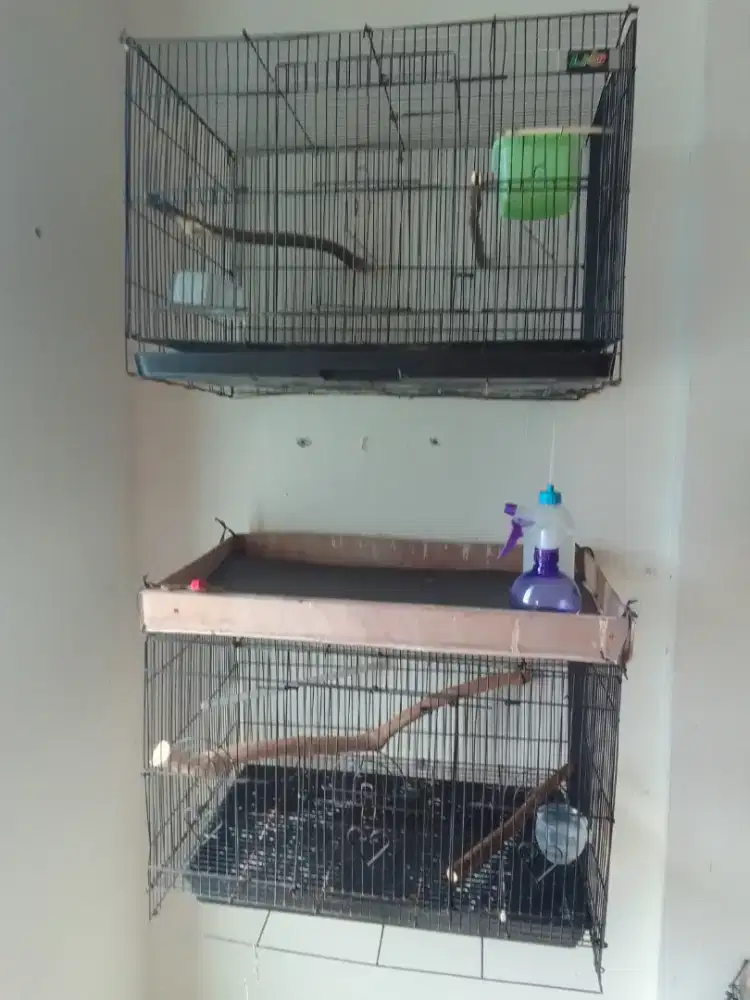Dijual Murah Sangkar Burung Besi