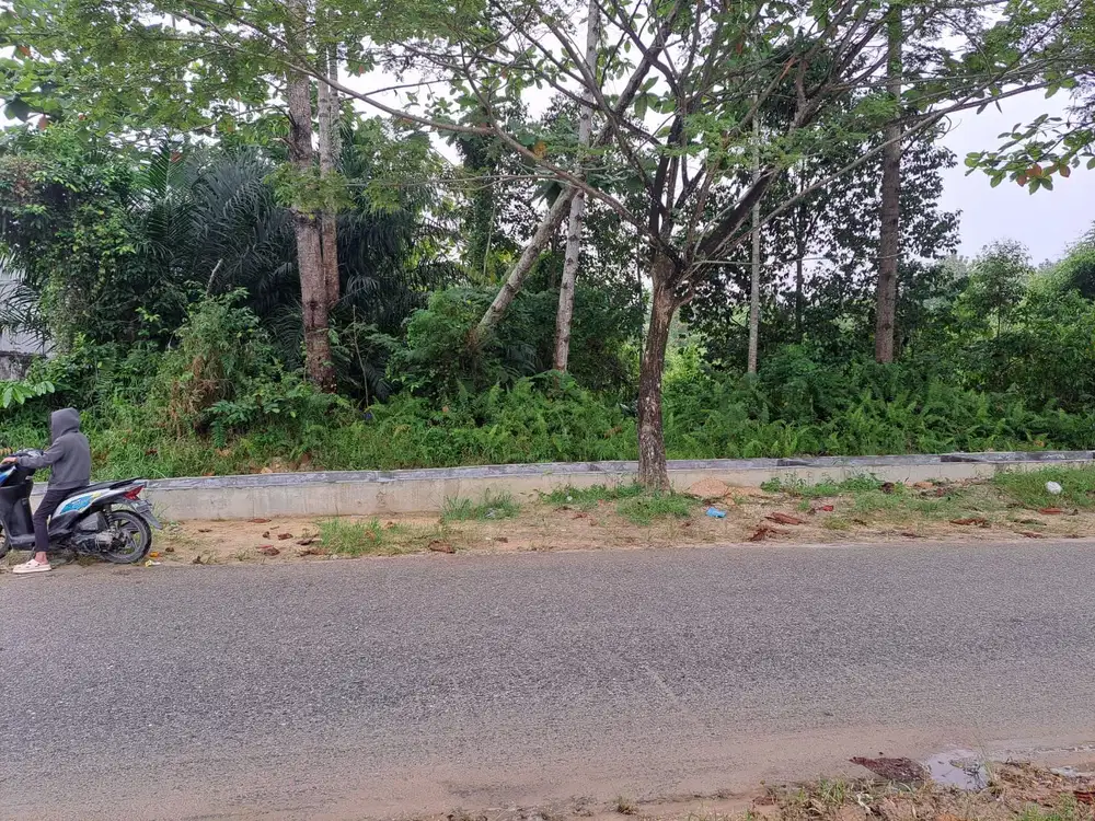Tanah murah tepi aspal jl Indrapuri Hangtuah, Pekanbru