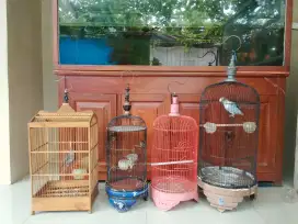 Kandang 4 burung 3 ekor