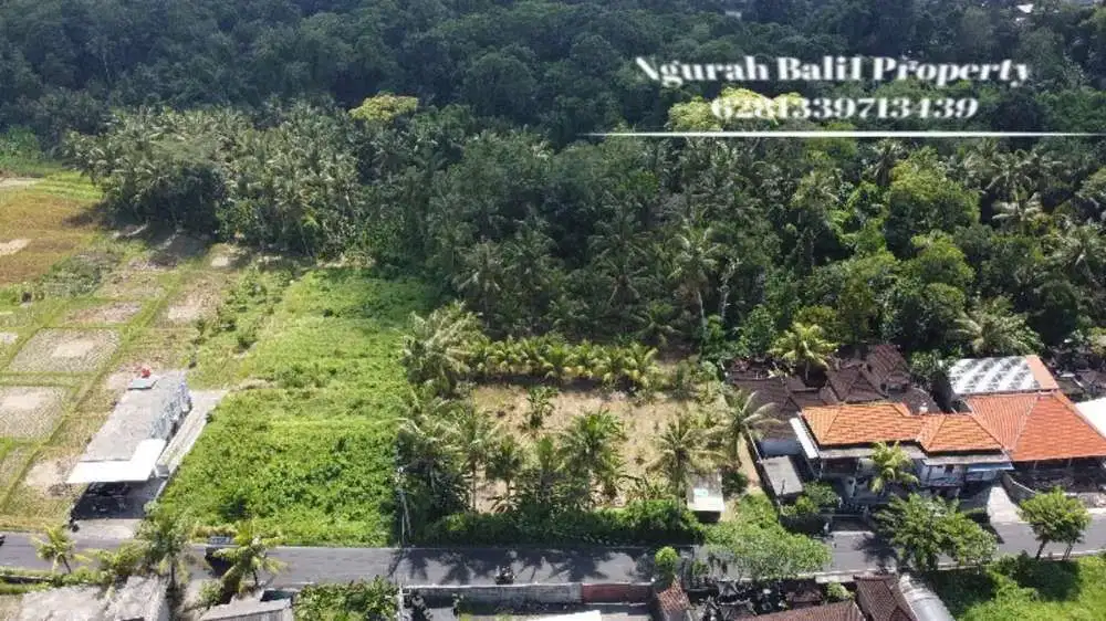 Dijual Tanah Murah Luas 1400 m2 Cocok Peruntukan Gudang