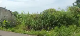 Dijual Tanah kavling di Rajeg uk 1230 meter