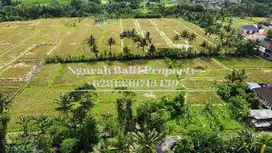 For Rent Tana Murah Luas 50 Are View Sawah dan Gunung